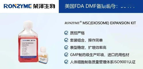 榮澤集團 市場調(diào)查成就斐然，穩(wěn)健前行再譜新篇